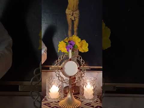 Adoracion Al Santisimo Sagramento del Altar con el Padre Fabian Esteban Oliva. 26/09/26