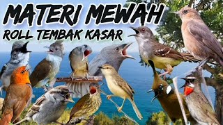 Download lagu MATERI MEWAH‼️Roll Tembak Kasar,,Masteran Gampang Masuk#masteranburung #pancinganburung mp3