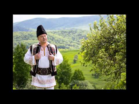 Constantin Bahrin - Haideti mai flacai la joc