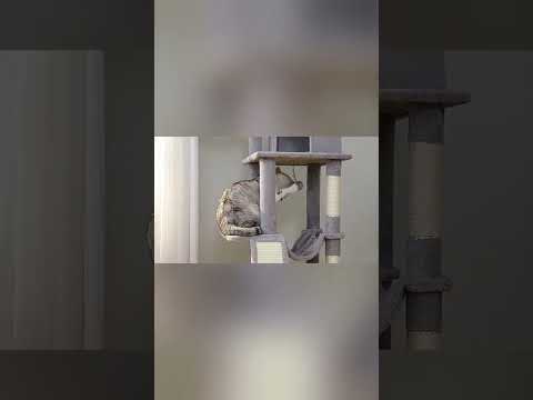 Floor to Ceiling Cat Tree with Sisal Scratching Posts Cozy Condo Hammock Adjustable