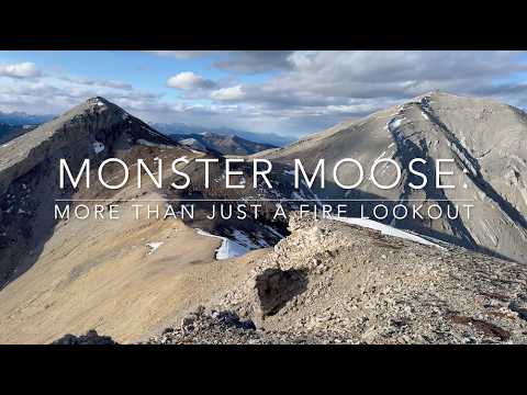 Monster Moose:  More Than Just A Fire Lookout