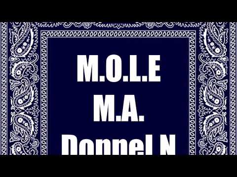 Sir Syntax & Molemann - Signifikante Relevanz