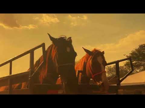 Cavalgada do P.A Fest 2026 - Porto Alegre do Tocantins 