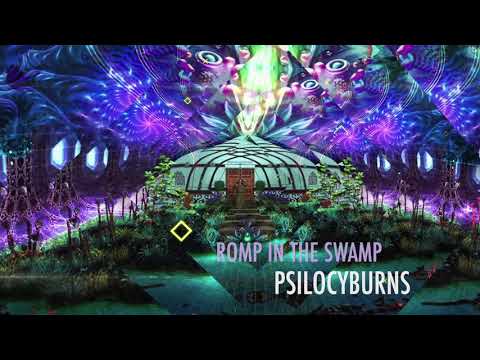 PSILOCYBURNS - Romp in the Swamp ( V.A. Cosmic Unity compiled by Djane Elfie)