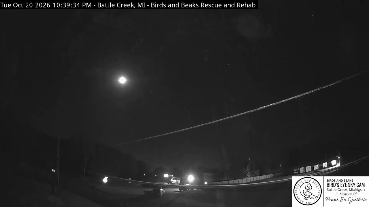 Vista en directo de la webcam Bird's Eye Sky Cam