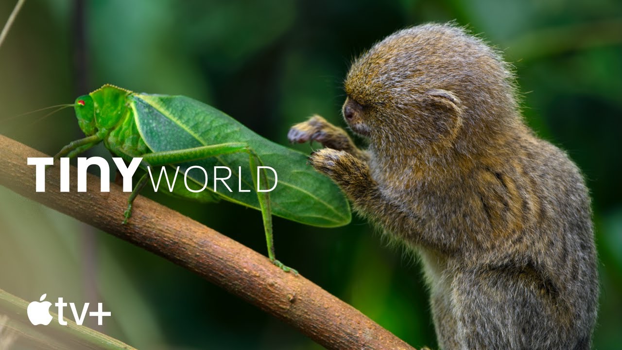 Bande-annonce officielle [VOSTFR]