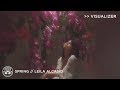 Spring Leila Alcasid Visualizer