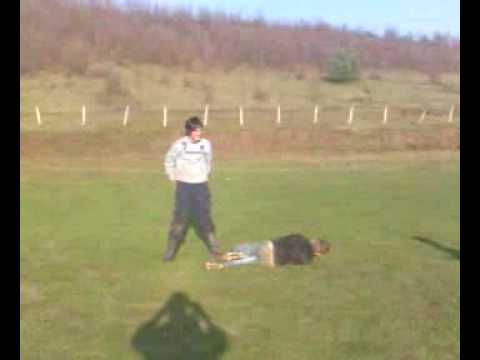 Fotbal ca la ARCHIS nu vezi nicaieri !!! ;).3gp