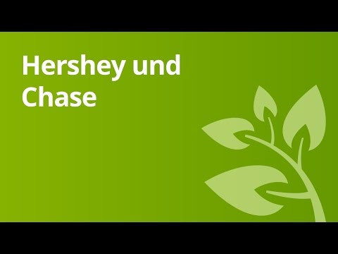 Der Versuch von Hershey und Chase - Bakterien | Biologie | Genetik und Entwicklungsbiologie