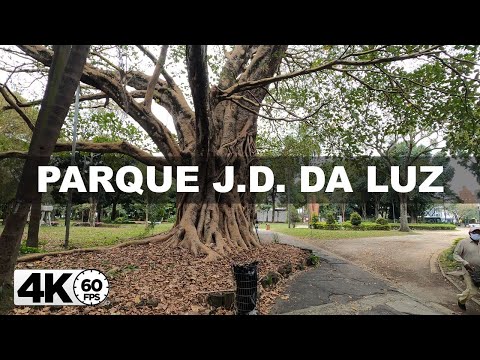 [4K60fps] Walking Parque Jardim da Luz Sao Paulo Brazil -MT4K-