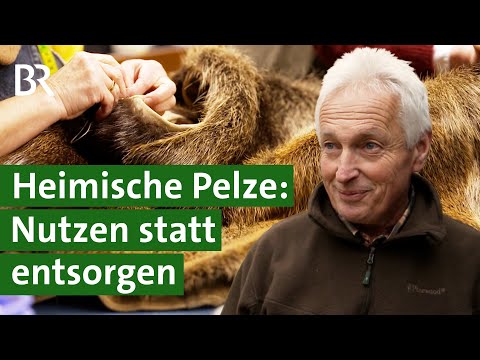 Pelz von Marder, Fuchs und Wiesel: Wie Jäger die Felle verwerten können | Unser Land | BR