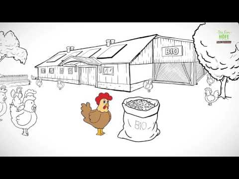 So wohnen Henne Rita & Co. auf den Eierhöfen Baden-Württemberg