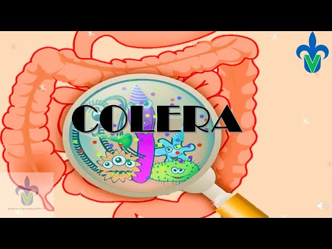 ¿Qué es el cólera y como puedo prevenir esta enfermedad?