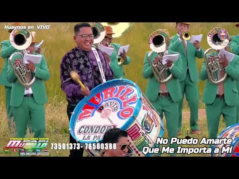 𝑴𝒊𝒙 𝑯𝒖𝒂𝒚𝒏𝒐𝒔 2023 ☑️ | 𝑷𝑨𝑷𝑰 𝑴𝑼𝑹𝑰𝑳𝑳𝑶 | 𝑵𝒐 𝑷𝒖𝒆𝒅𝒐 𝑨𝒎𝒂𝒓𝒕𝒆 - 𝑸𝒖é 𝒎𝒆 𝑰𝒎𝒑𝒐𝒓𝒕𝒂 𝒂 𝑴í