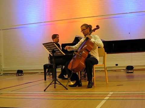 Perttu Kivilaakso ja Mikko Merjanen: Pavane pour une infante défunte (Ravel)