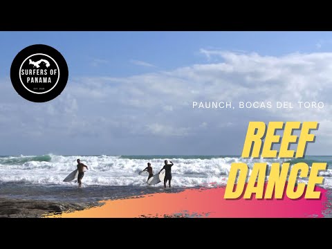 Tide Drop Reef Dance - Paunch, Bocas del Toro