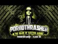 Pornothrasher FLAME ON THE DAWN OF ELECTRO ALBUM