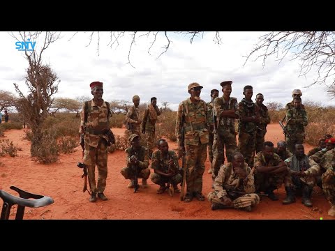 Heesta Erya Erya iyo geesiyaasha xoogga dalka.