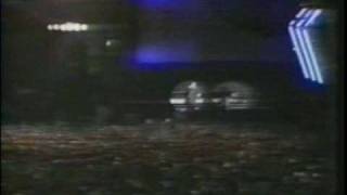 Wildlife Rio Live- Inxs