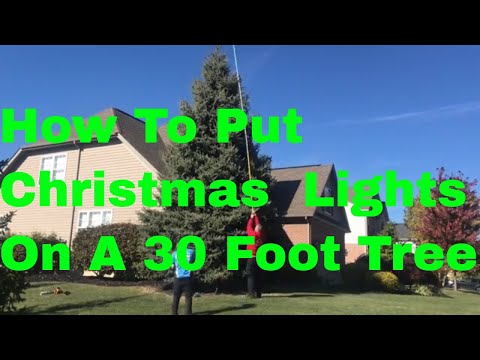 image-How do you light a very large tree?