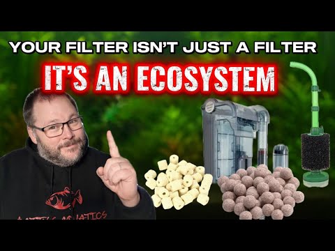 Biological Filtration: The Microscopic Guardians of Water Quality