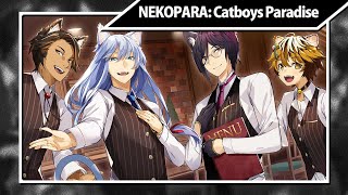 NEKOPARA: Catboys Paradise (PC) - All Routes Longplay