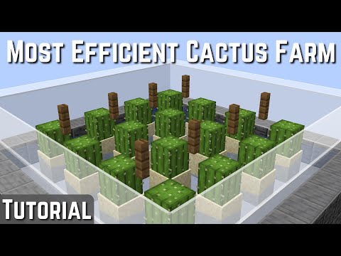 How to Build an EFFICIENT Cactus Farm in Minecraft