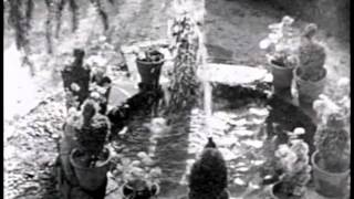 GAS - D1 (Königsforst Vinyl)