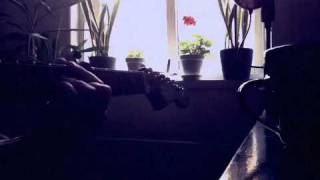 Henrik Skanfors | Diary {7}