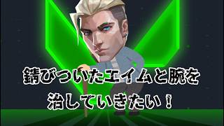 【#VALORANT】シラフなのでテンションは低いかもね