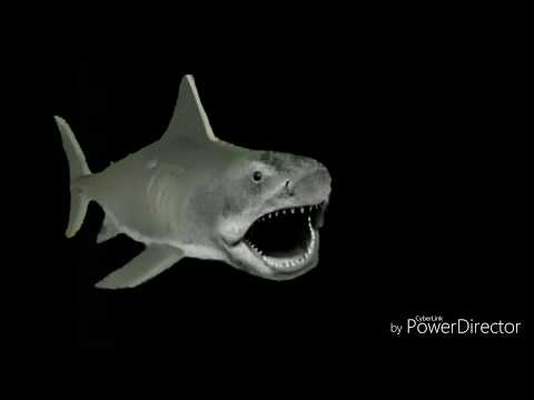 JAWS 3D RECUT TRAILER