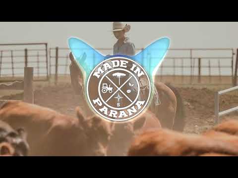 Pecuária 2.0 - Léo e Raphael (MADE IN PARANÁ EDITON)