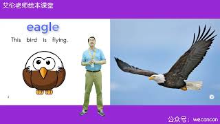58. Birds - Grade K [Heinman] - Enghlish For Kids