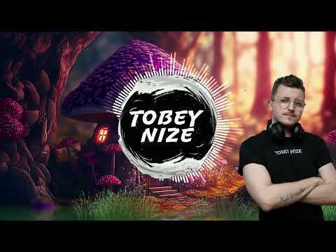 FiNCH x SDP x Phil The Beat - Abenteuerland (TOBEY NIZE REMIX)