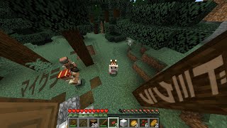 【ドミクラ】#1 久々にマイクラしたら時代遅れ感【Minecraft】Java版