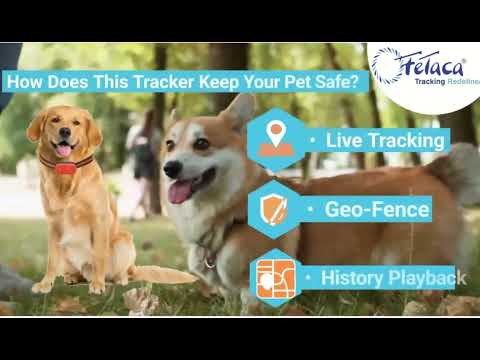 Wireless gps tracker for pets, for pet tracking