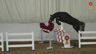 Video of Cornetskarl