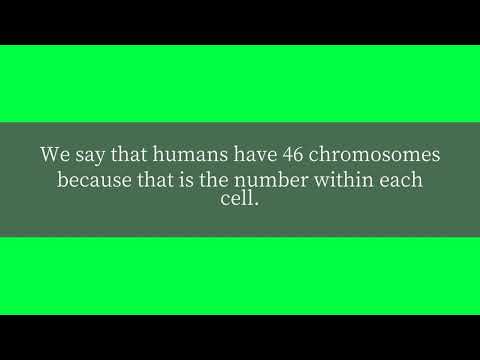 How many chromosomes are in the human body?