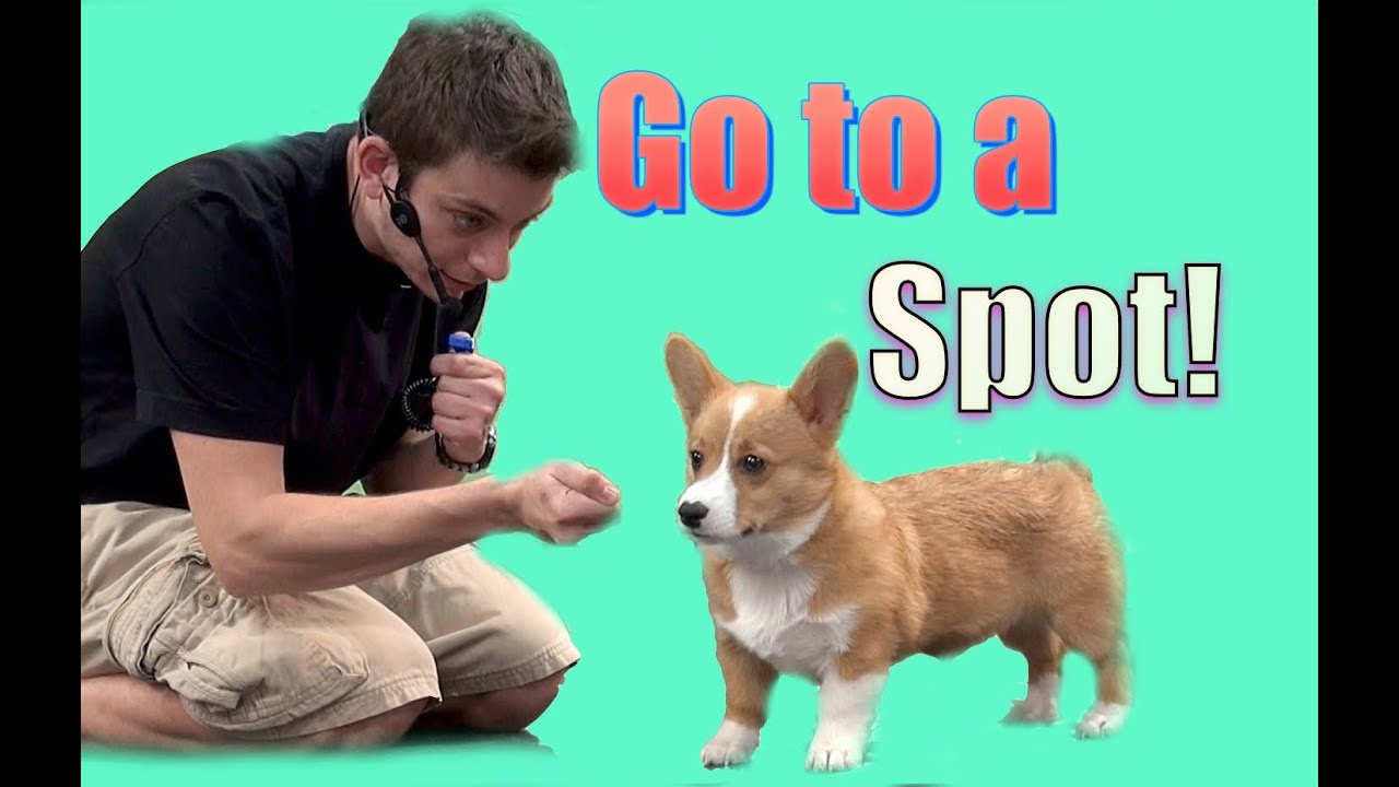 YouTube video preview