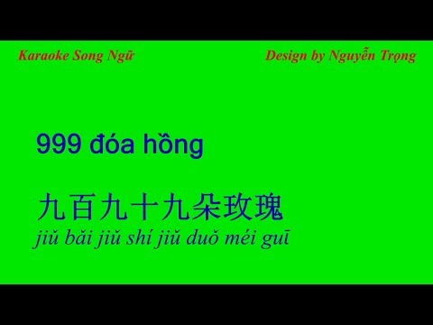 Karaoke Song Ngữ - 999 đóa hồng - 九百九十九朵玫瑰 (C Min)