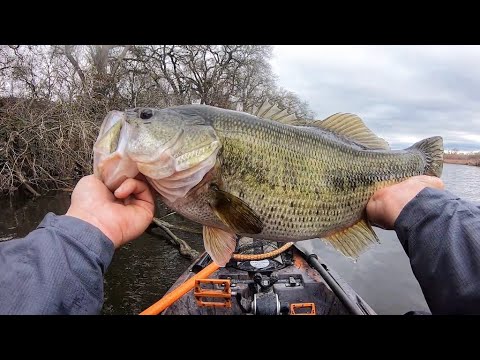 I’m FINALLY a believer in SPINNERBAITS