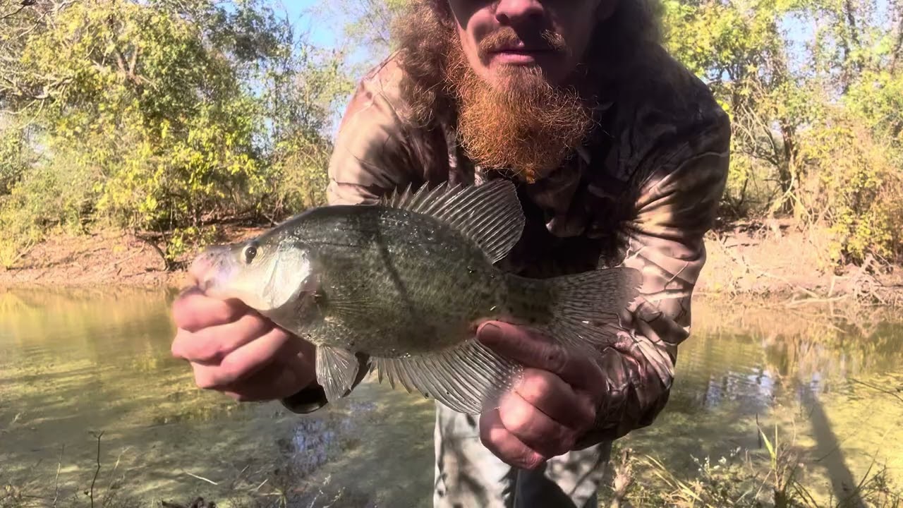 Roadside creek was loaded with crappie!