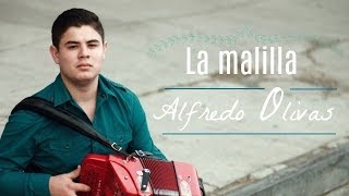La malilla / Alfredo Olivas LETRA