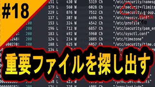 システム上の重要ファイルを炙り出せ！【サイバーセキュリティ入門#18】#サイバーセキュリティ #プログラミング #tryhackme