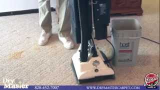 preview picture of video 'Green Carpet Cleaners in Asheville, NC'
