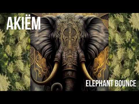 Akiëm - Elephant Bounce | Acidcore