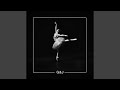 Swan Lake (Techno Mix)
