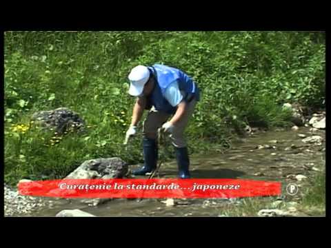 Curatenie la standarde  japoneze P