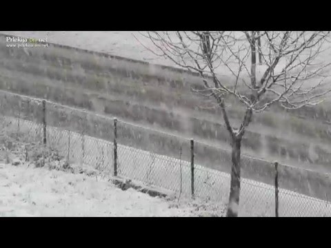 Snežna ploha v Ljutomeru