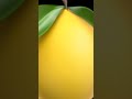 VONOFF1700 N YFG FATSO LEMONADE